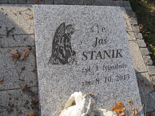 Jan Stanik Wolanów - Grobonet - Wyszukiwarka osób pochowanych